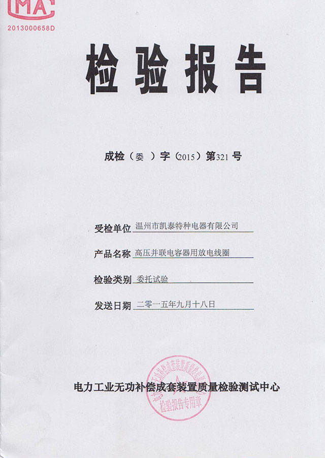 Test Report