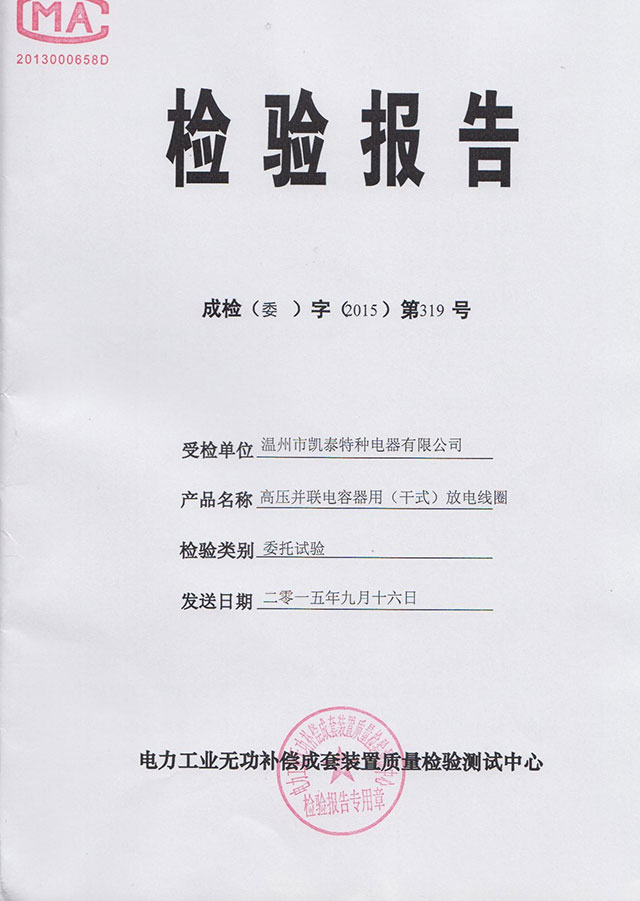 Test Report